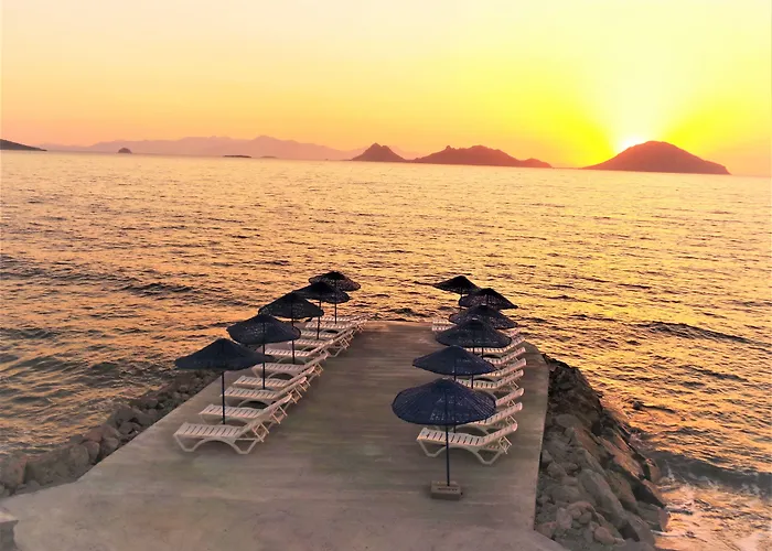 Sunset Mavi