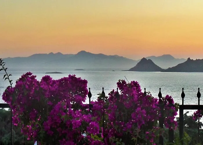 Sunset Mavi تورغوتْريس