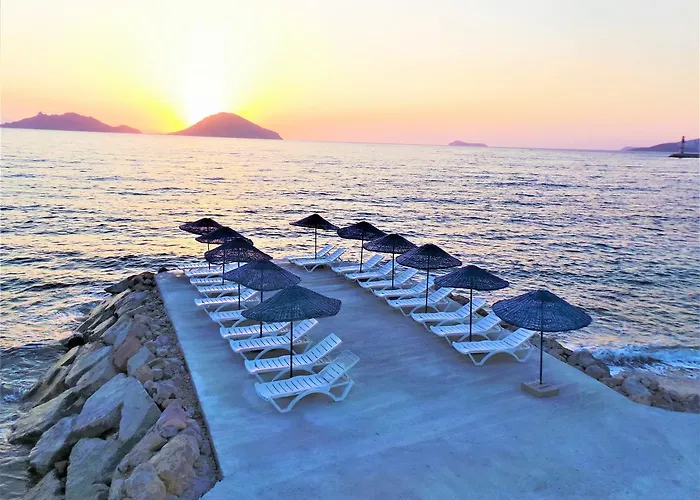 Sunset Mavi