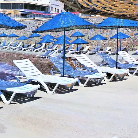 Sunset Mavi * 터그트레이스