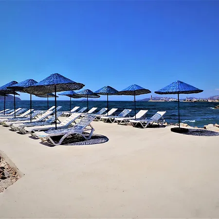 Sunset Mavi 펜션 *