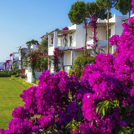 펜션 Sunset Mavi 터그트레이스