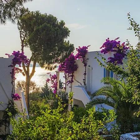 펜션 Sunset Mavi *