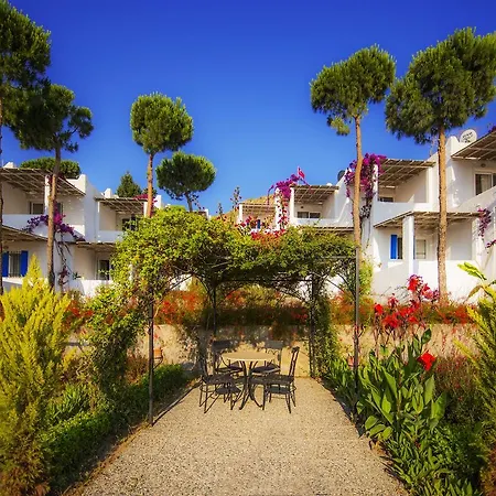 Sunset Mavi 펜션 터그트레이스