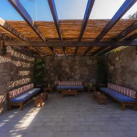 Sunset Mavi 터그트레이스