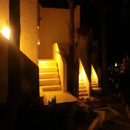 Sunset Mavi 터그트레이스