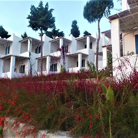 Sunset Mavi * 터그트레이스