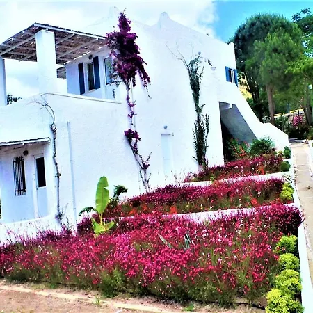 펜션 Sunset Mavi *