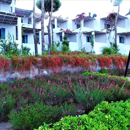 Sunset Mavi 펜션 터그트레이스