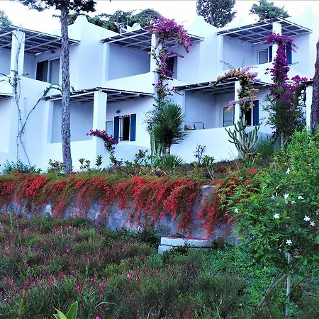 Sunset Mavi * 터그트레이스