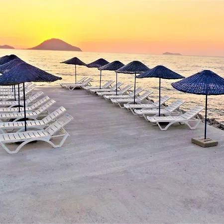 Sunset Mavi