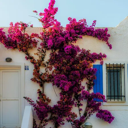 펜션 Sunset Mavi 터그트레이스