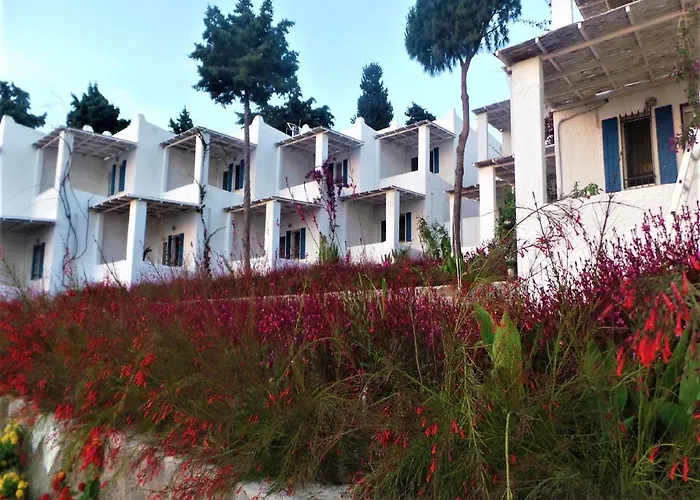 Sunset Mavi * Turgutreis