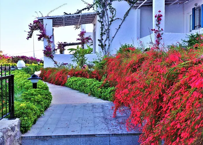 Σπίτι διακοπών Sunset Mavi Turgutreis