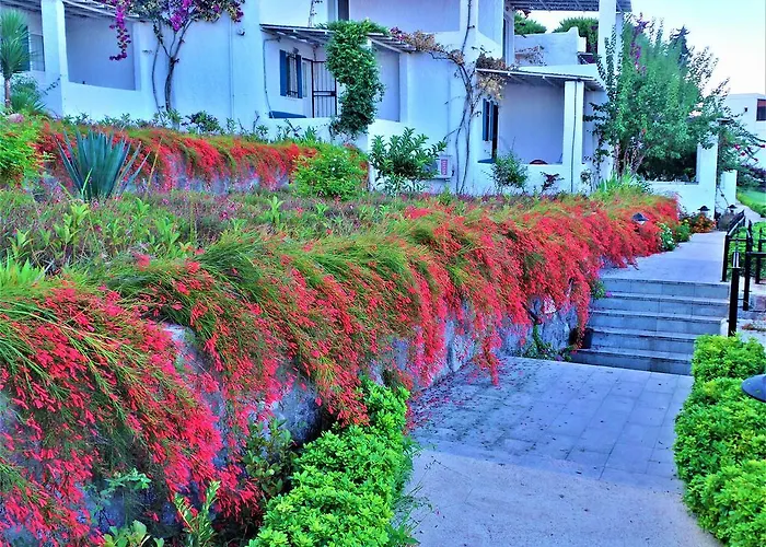 Sunset Mavi * Turgutreis