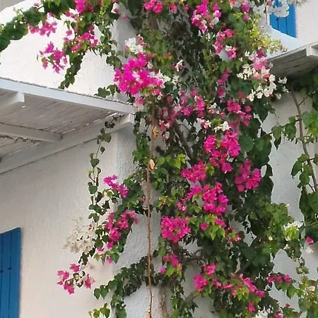 Nyaraló Sunset Mavi *