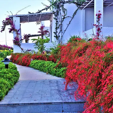 Nyaraló Sunset Mavi Turgutreis