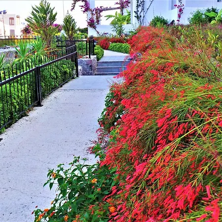 Sunset Mavi Nyaraló