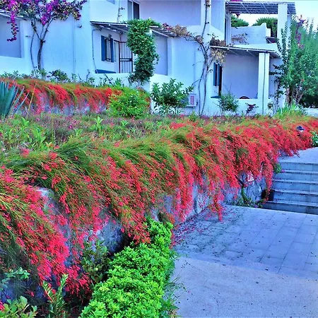 Sunset Mavi * Turgutreis