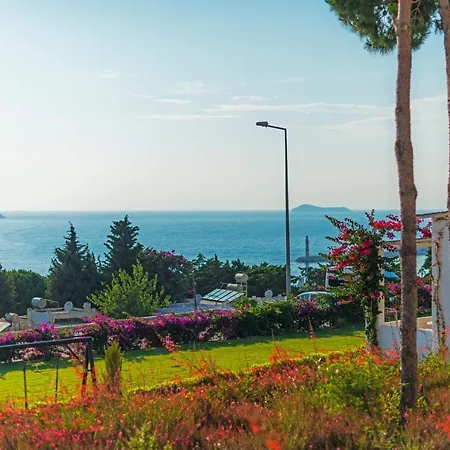 Nyaraló Sunset Mavi *