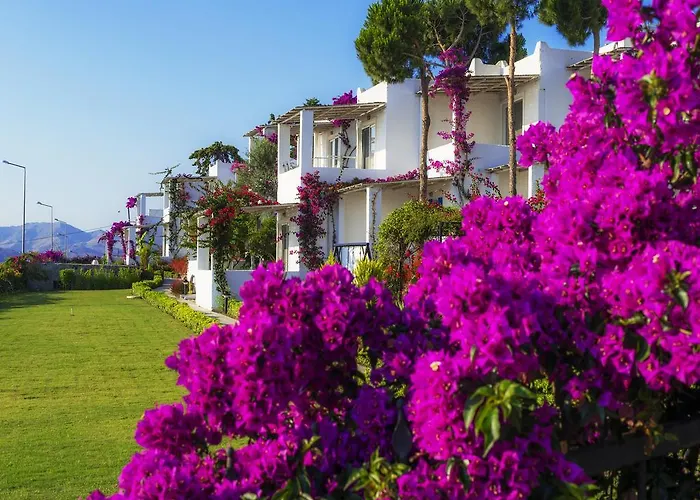 Vakantiehuis Sunset Mavi Turgutreis